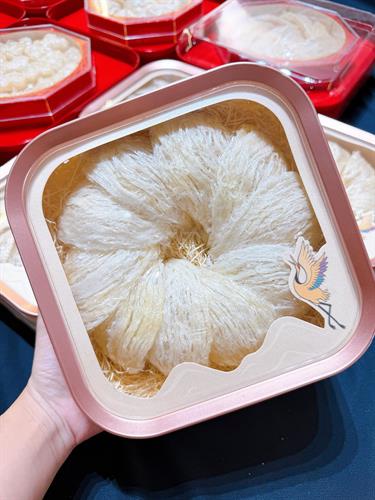 TỔ YẾN RÚT LÔNG XƯƠNG